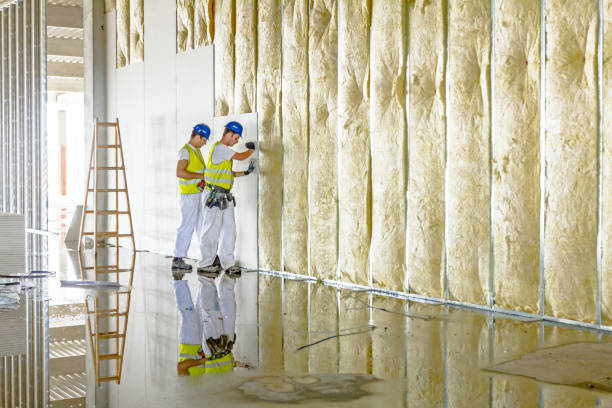 Best Specialized Insulation Services in Ashton Sandy Spring, MD